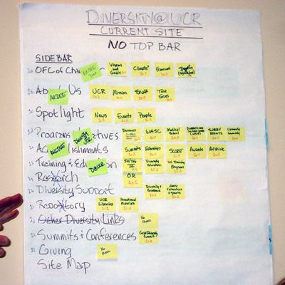 diversity-website-current